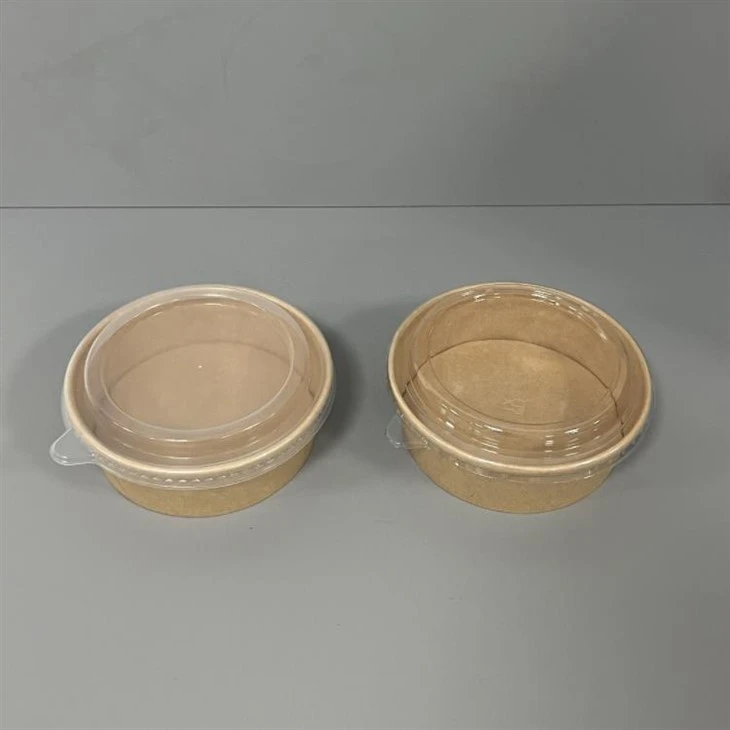 500ml kraft bowls with pp pet lid