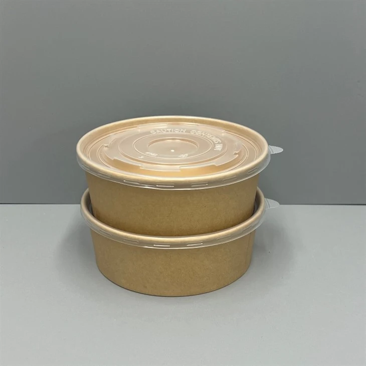Disposable Paper Salad Bowl